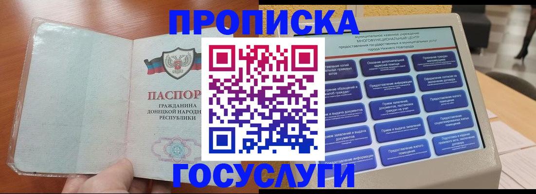 временная регистрация поиск в Лузе